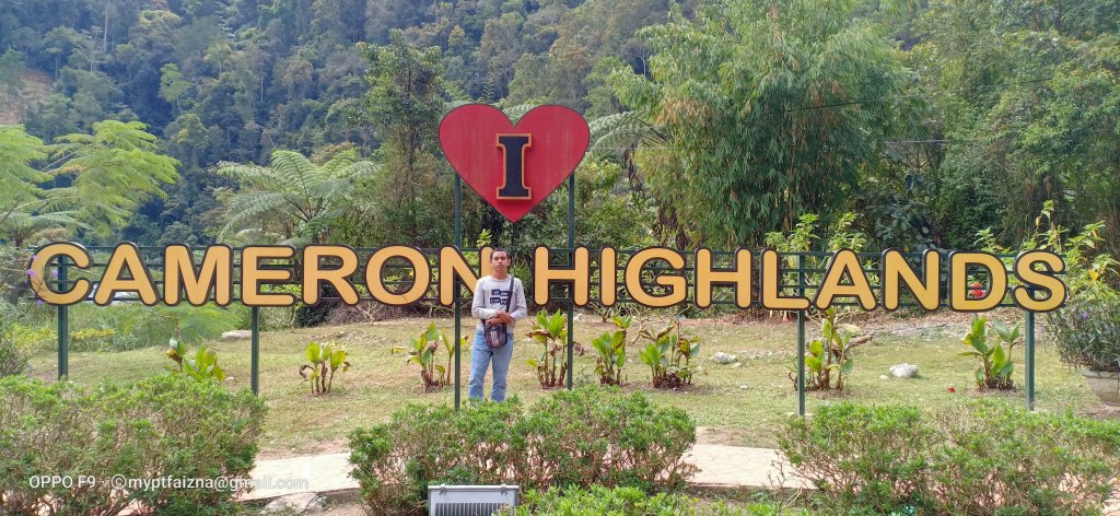 Cameron Highlands Tour package 