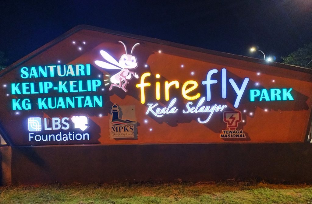fireflies park kampung kuantan at kuala selangor