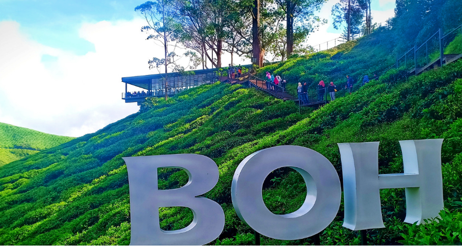 Cameron Highlands Day Tour from kuala lumpur 